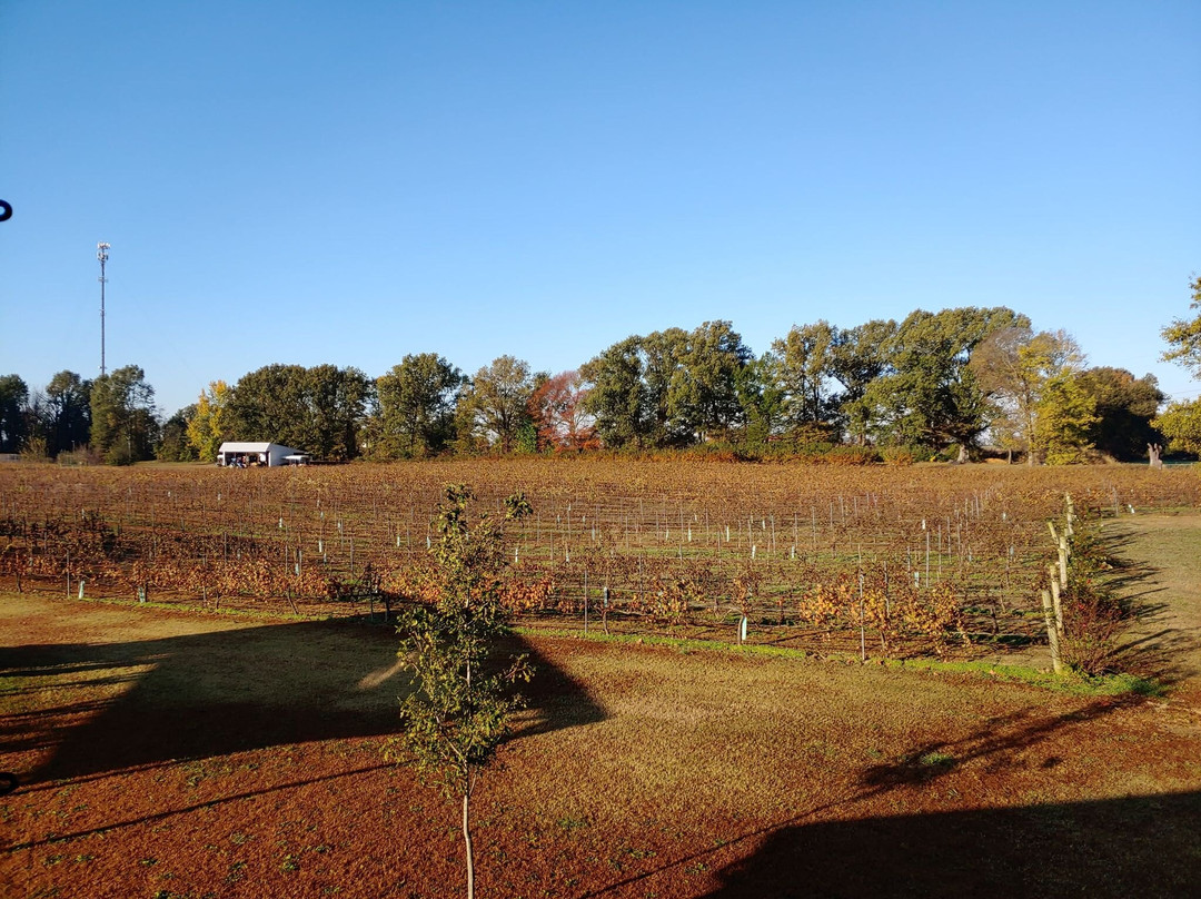 White Squirrel Winery-Kenton必去景点