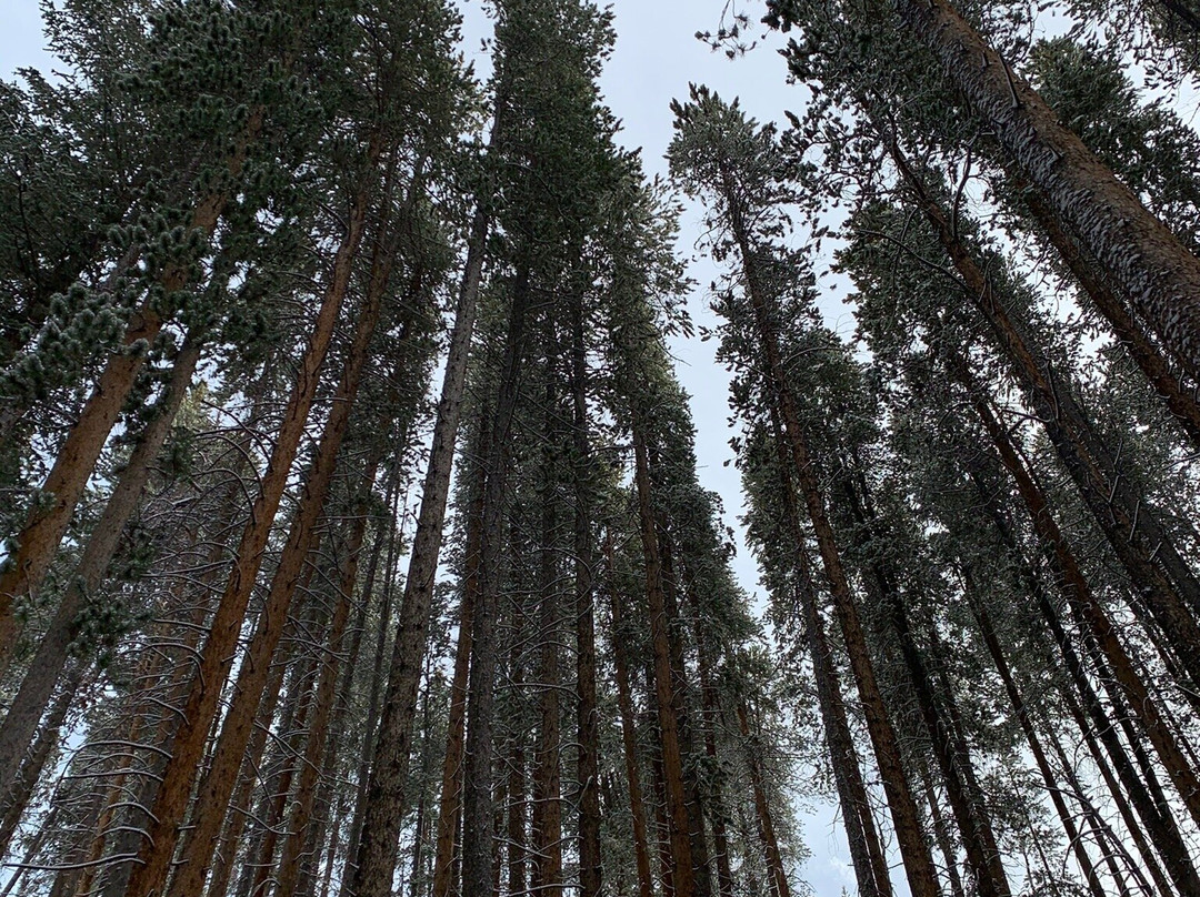 Hunter Creek Trail-阿斯蓬必去景点