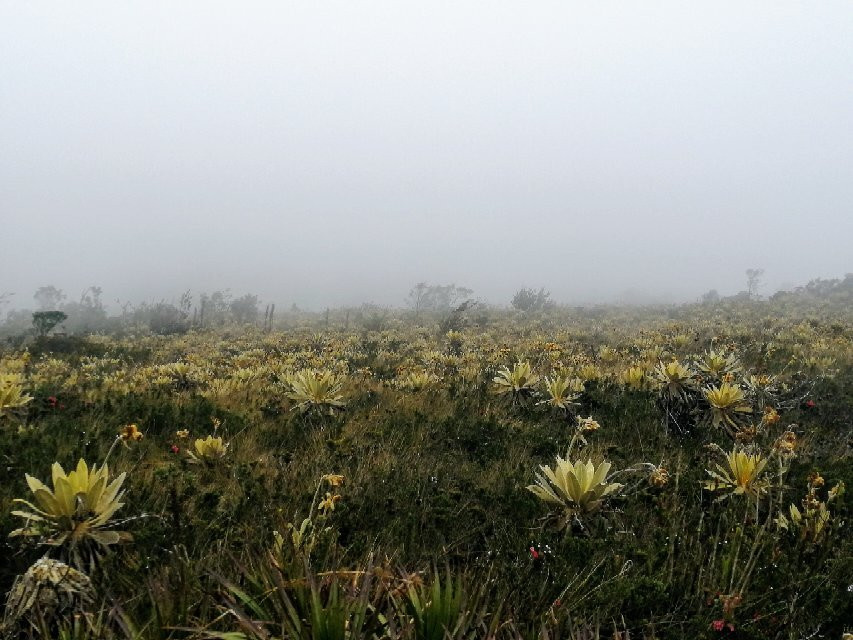 Cerro El Tablazo-Subachoque必去景点