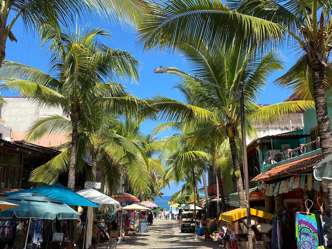 Sayulita Plaza-利他必去景点