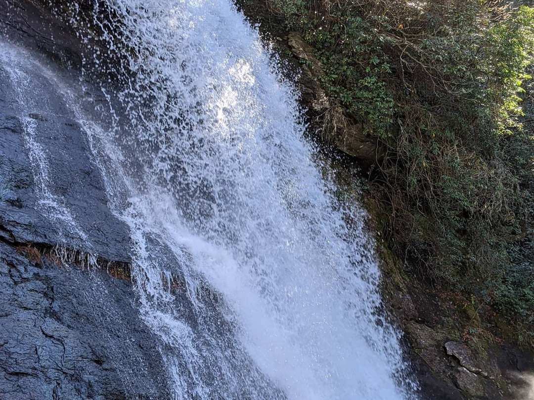 Silver Run Falls景点图片