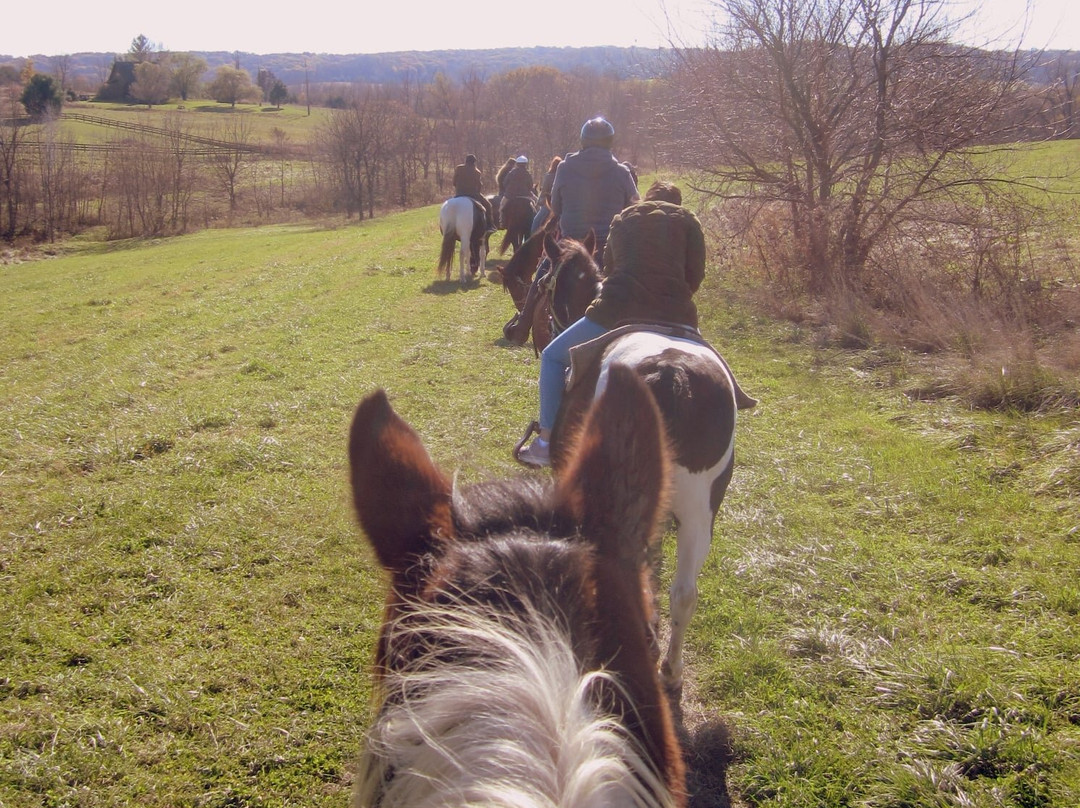Shenandoah Riding Center景点图片