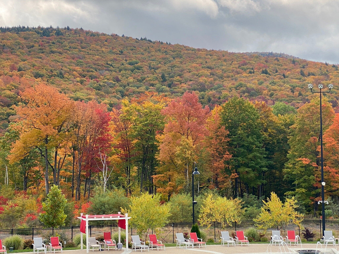 Seven Birches Winery-林肯必去景点