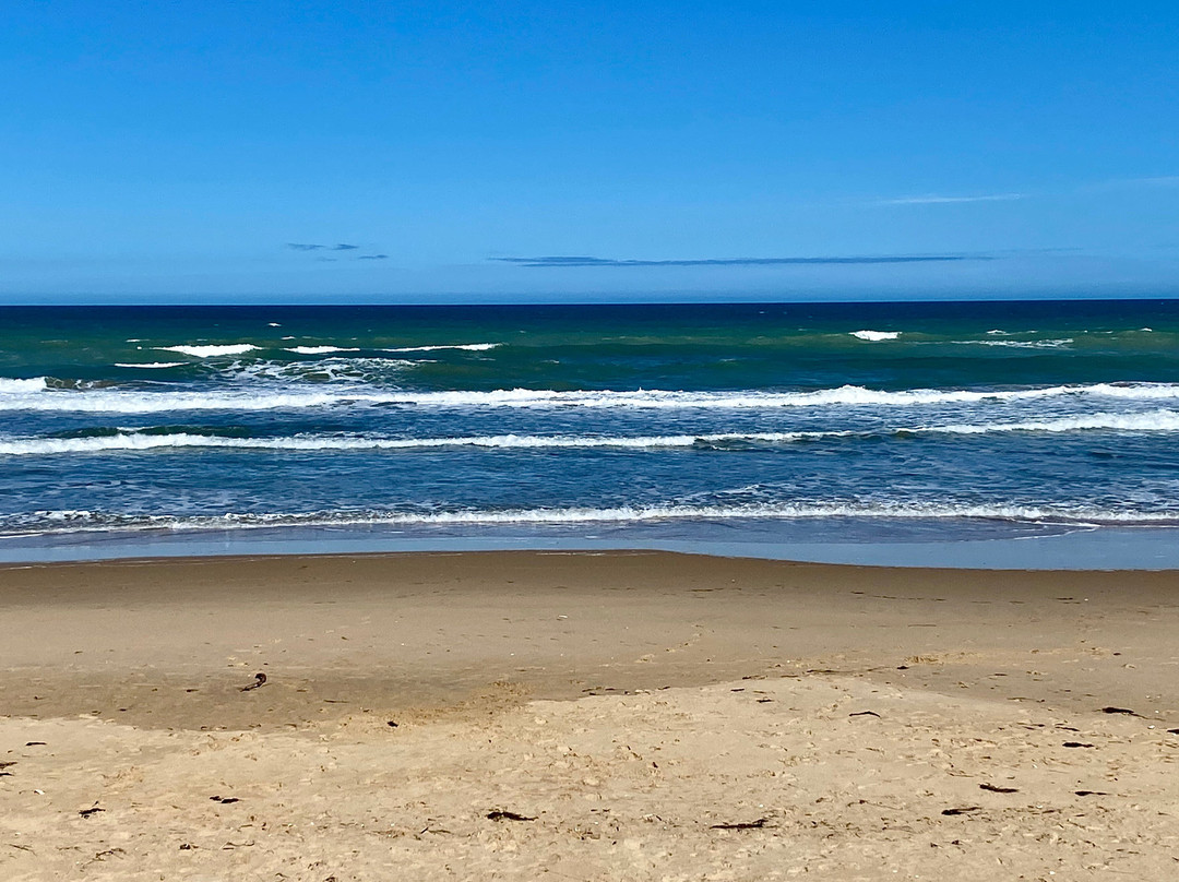 Woodside Beach Caravan Park景点图片