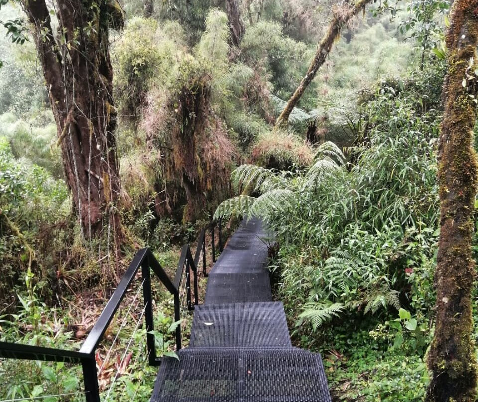 Parque National Los Quetzales景点图片