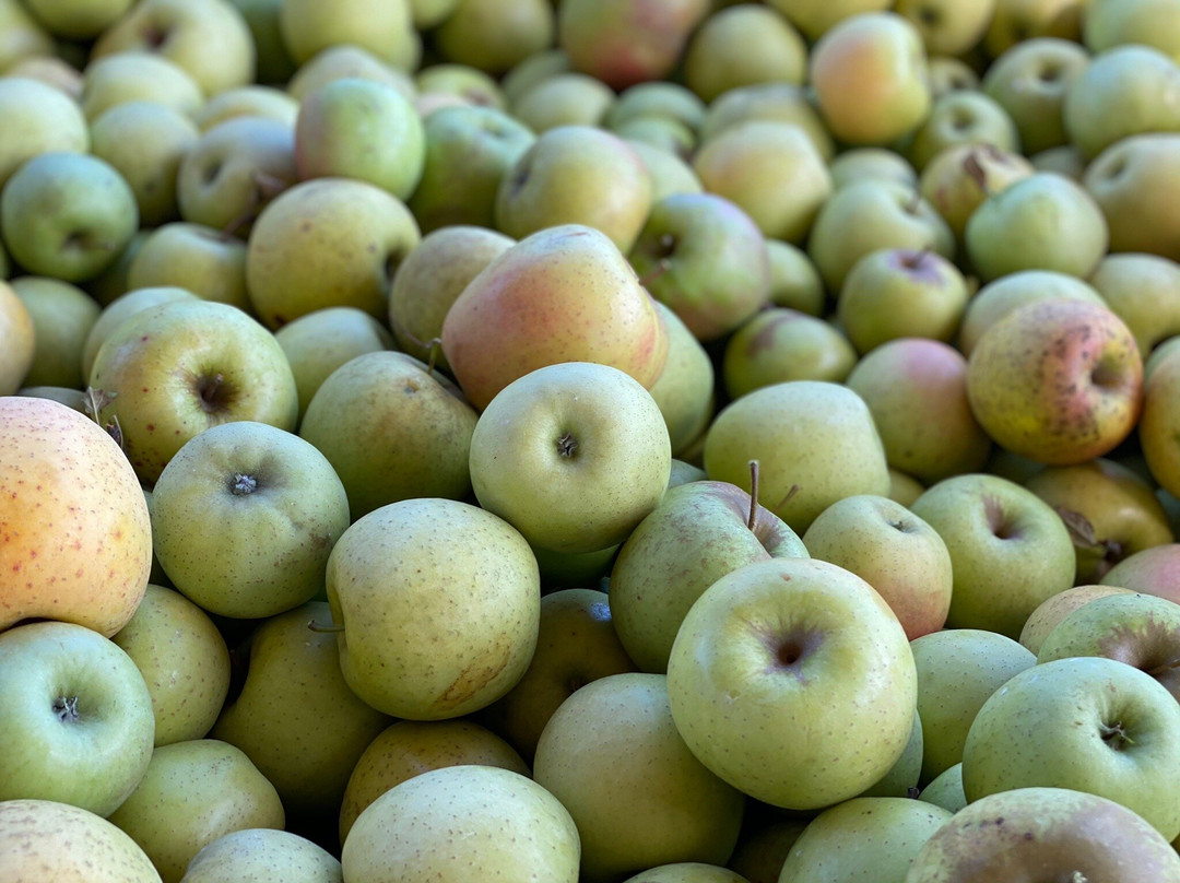 Reece Apple House-Ellijay必去景点