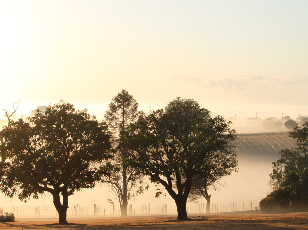 Woodlands of Marburg主图