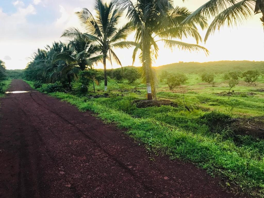 Green Echo Tourism Park主图