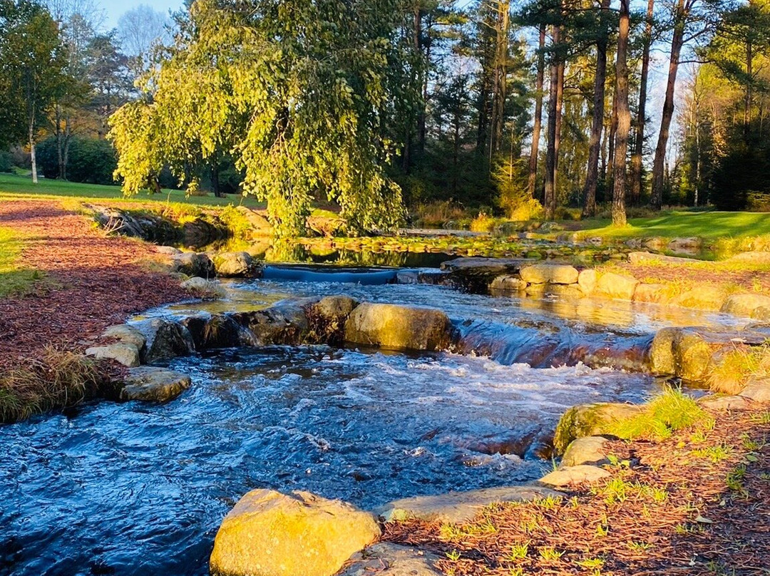 Rogaland Arboretum景点图片