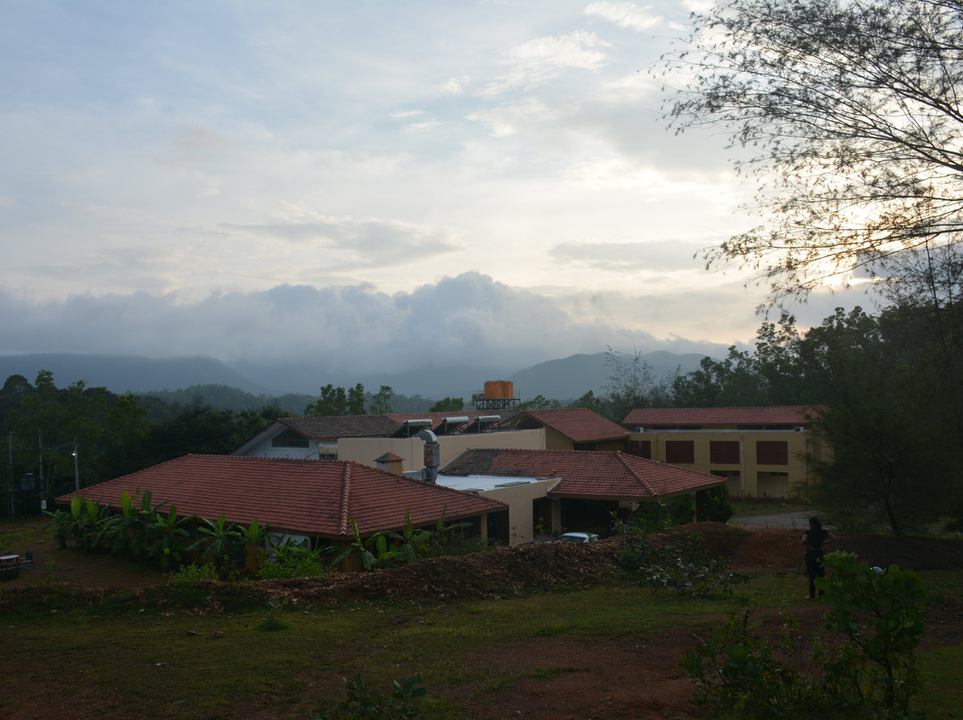 Paradise Wild Hills - Kodachadri主图