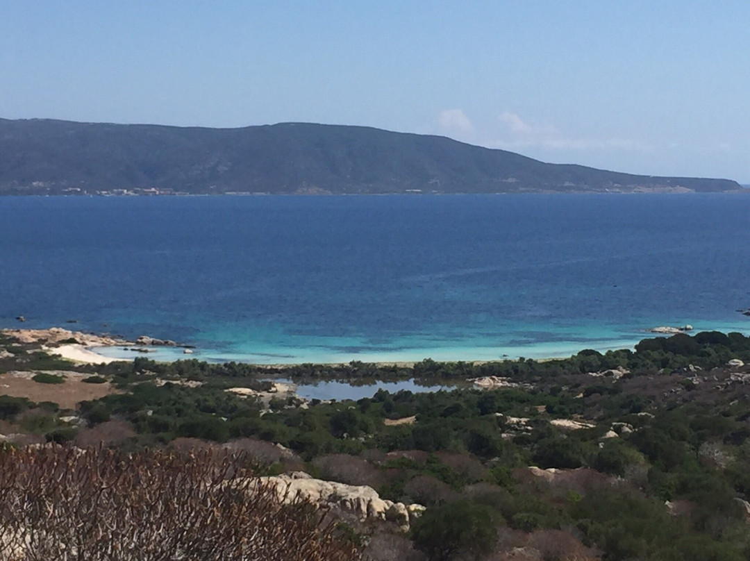 Cala Sant'Andrea-Asinara必去景点