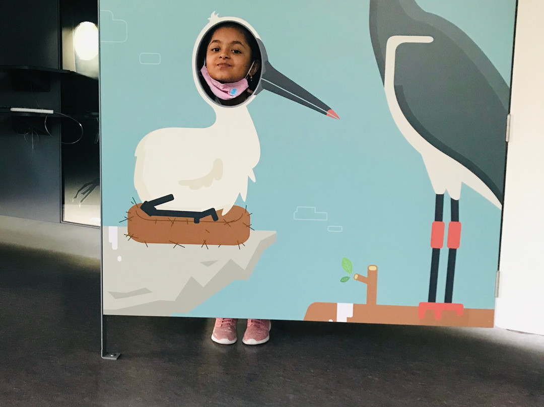 Wasit Wetland Centre-沙迦必去景点