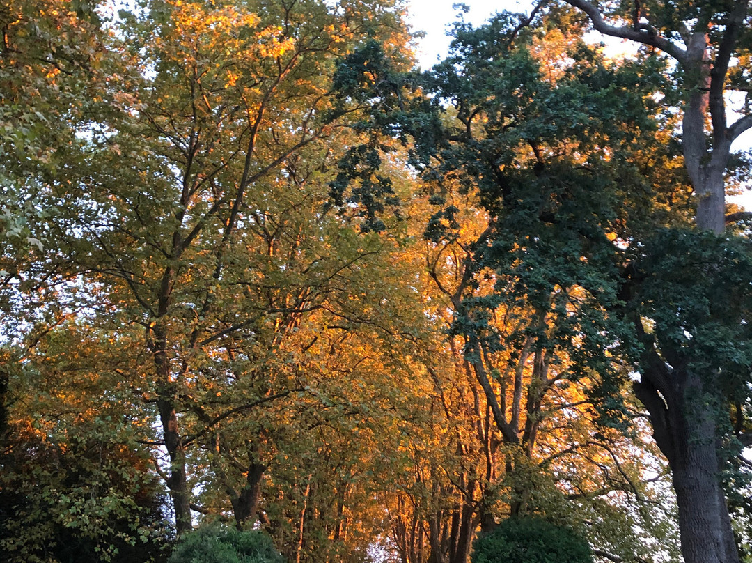 蒙泰马斯乐城堡酒店主图