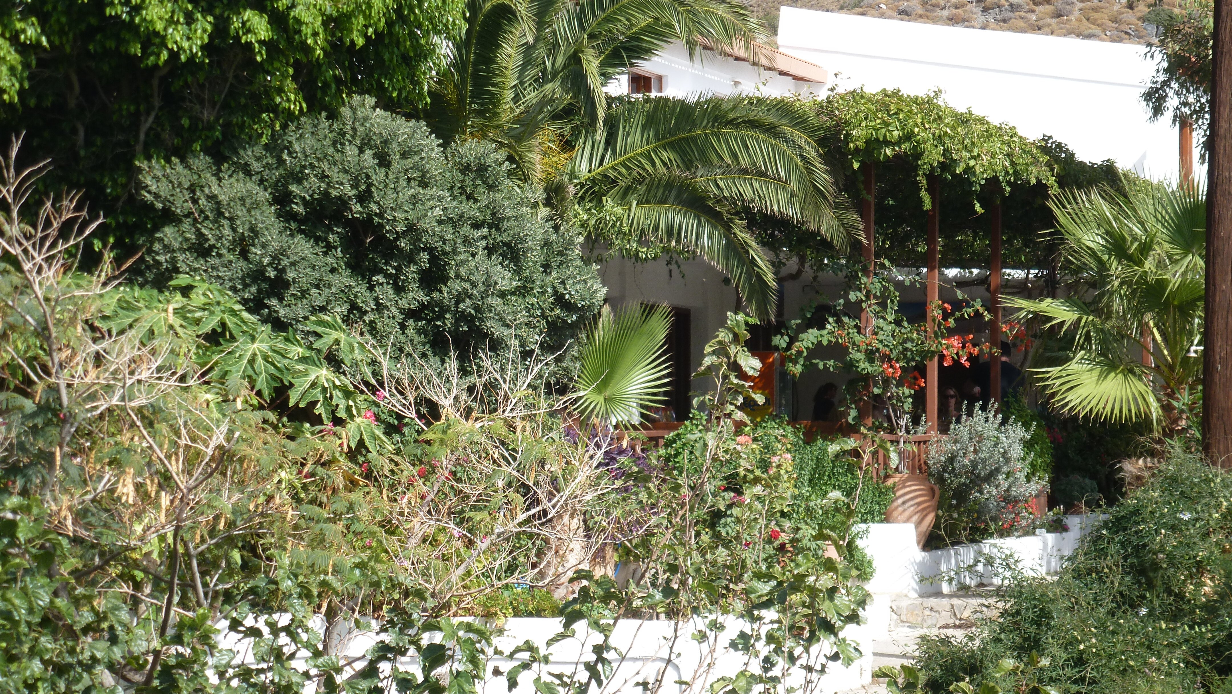 Preveli Crete - Dionysos Tavern & Rooms-浴室