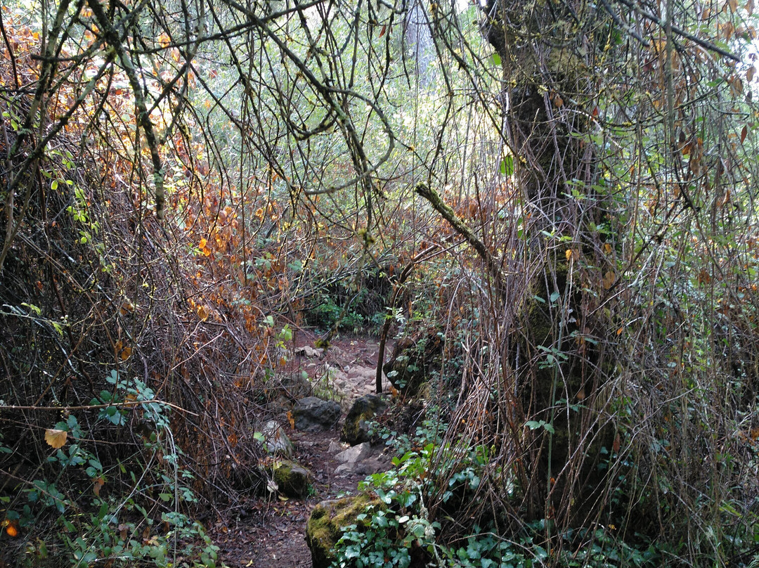 Banos de Popea-科尔多瓦必去景点