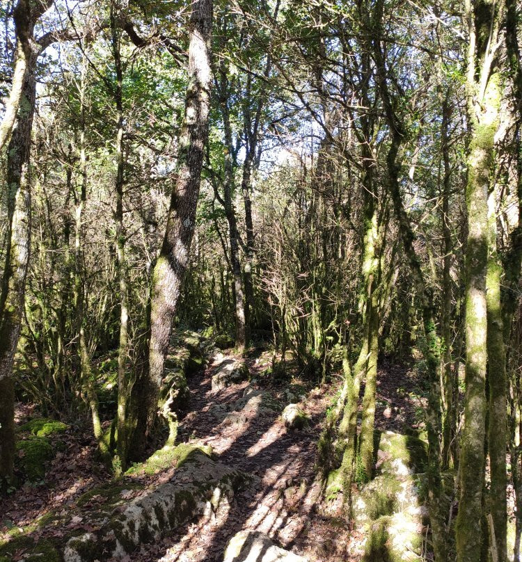 Le Labyrinthe Vert Nebias-Nebias必去景点