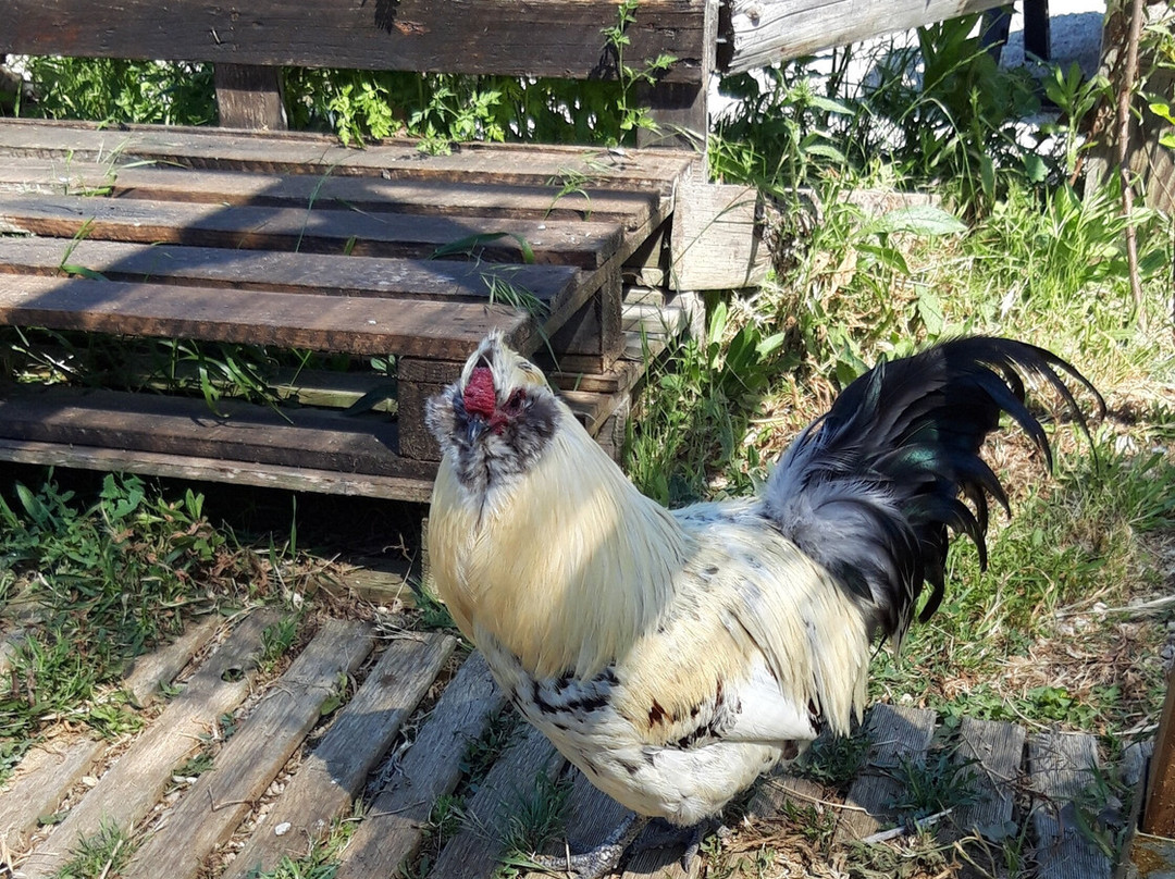 Campo de Reyes主图