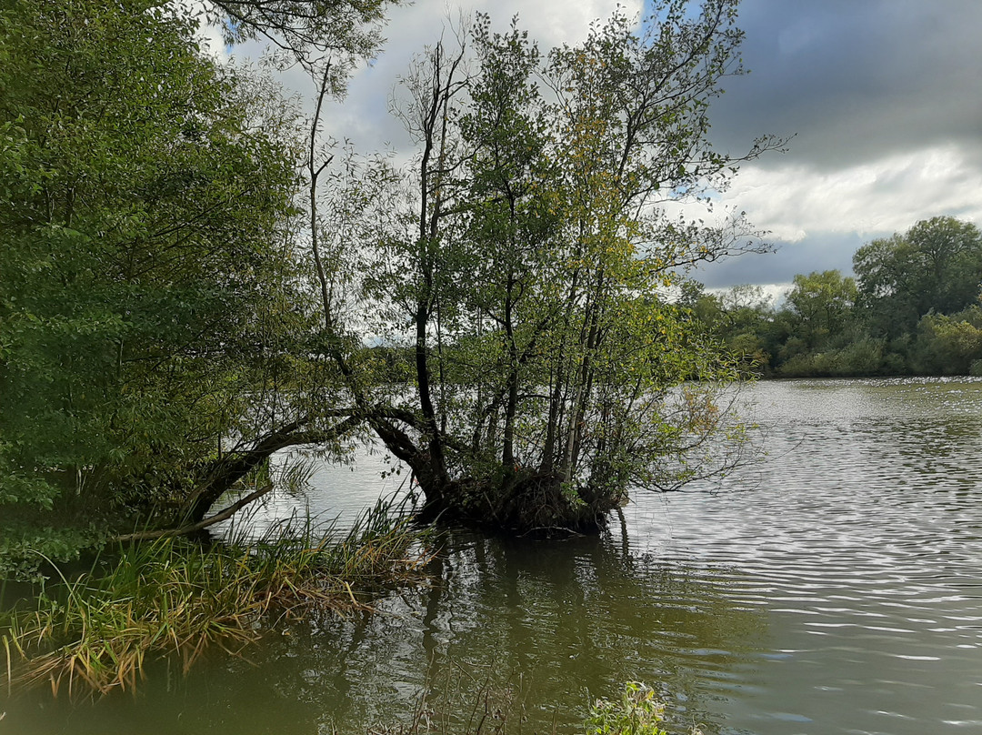 Shipley Country Park景点图片