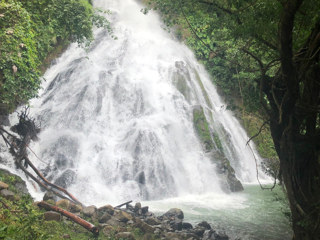 Mapara Crab Lodge主图