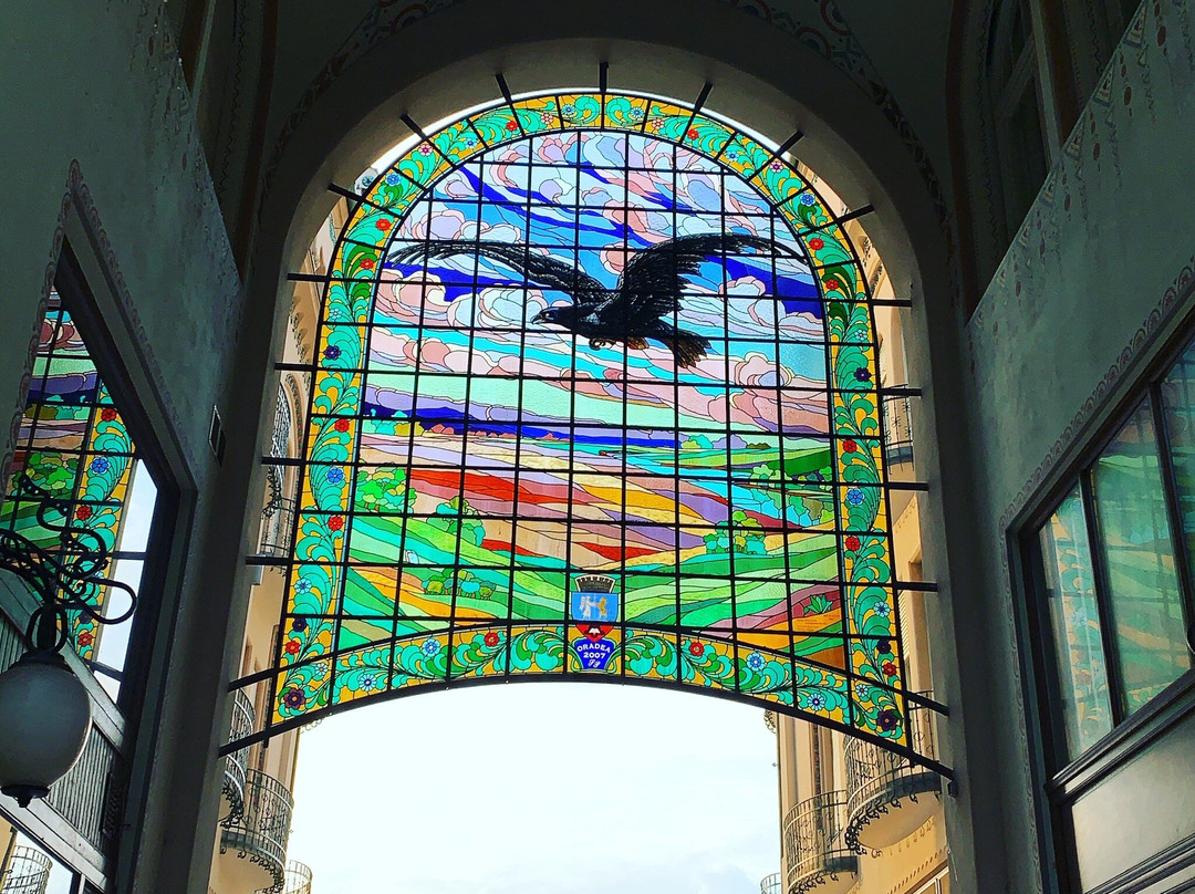 Black Hawk (Vulturul Negru) Palace Arcade景点图片