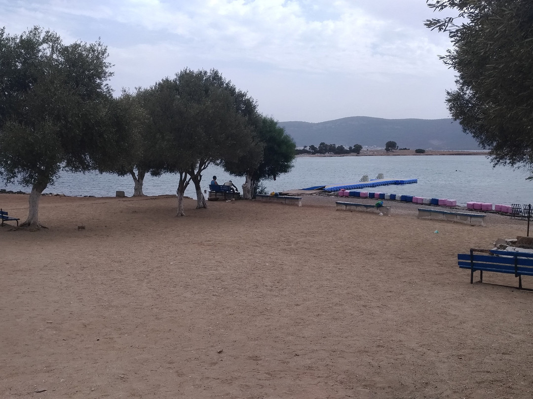 Saplı Ada景点图片