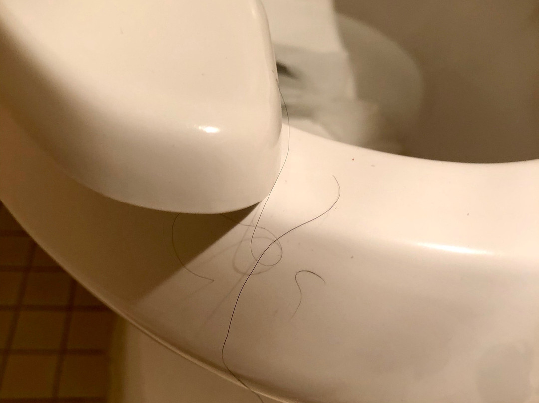 贝斯特韦斯特国王旅馆和套房酒店主图