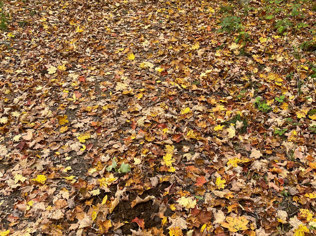 Swine Creek Reservation-Middlefield必去景点