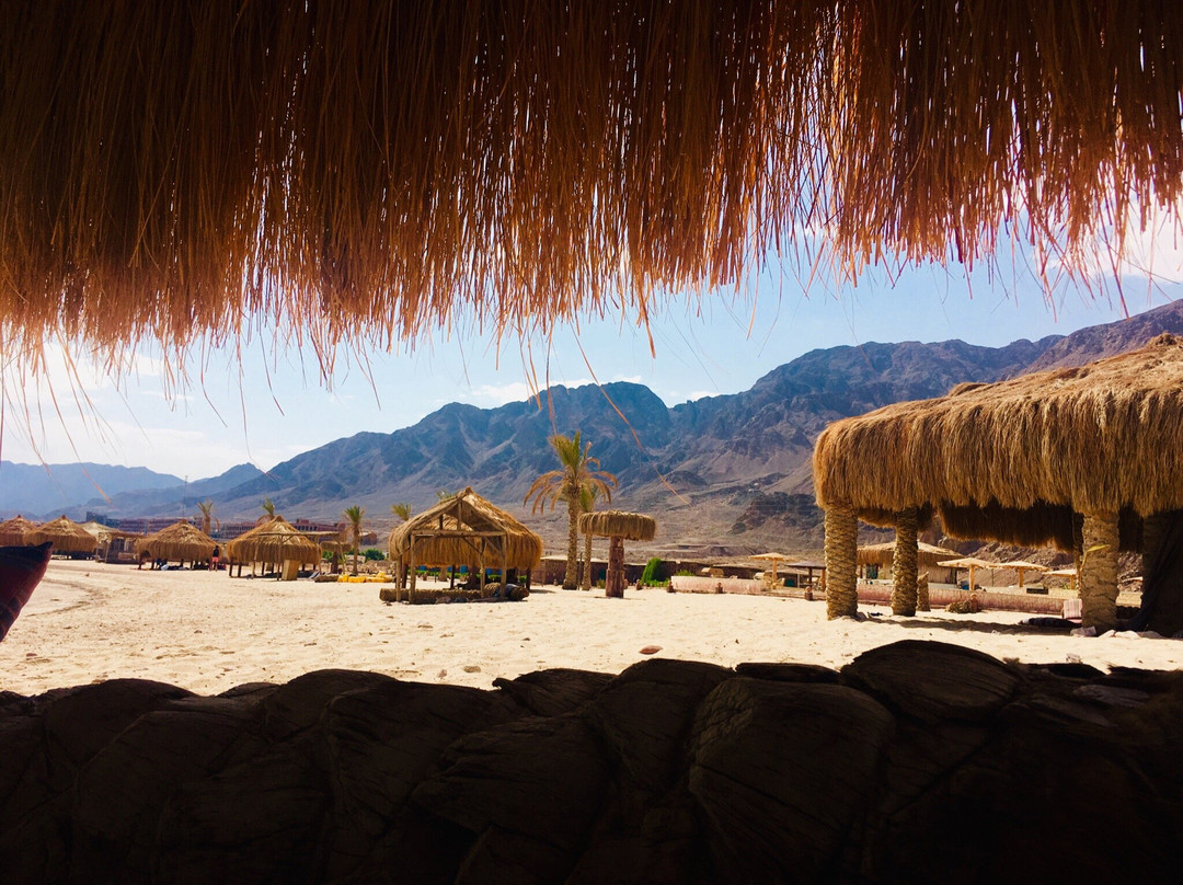 Safari Beach Resort主图