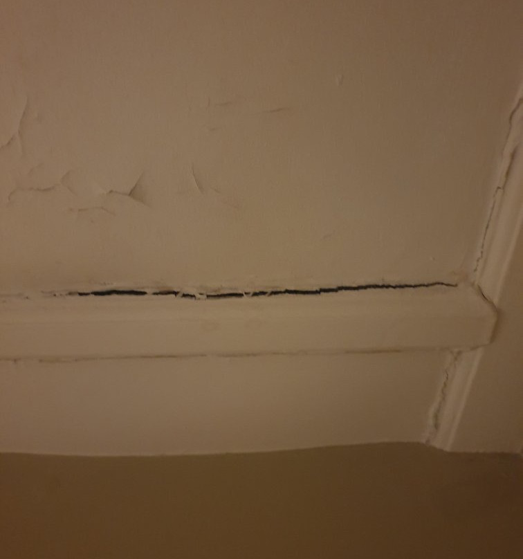 The Globe Hotel主图