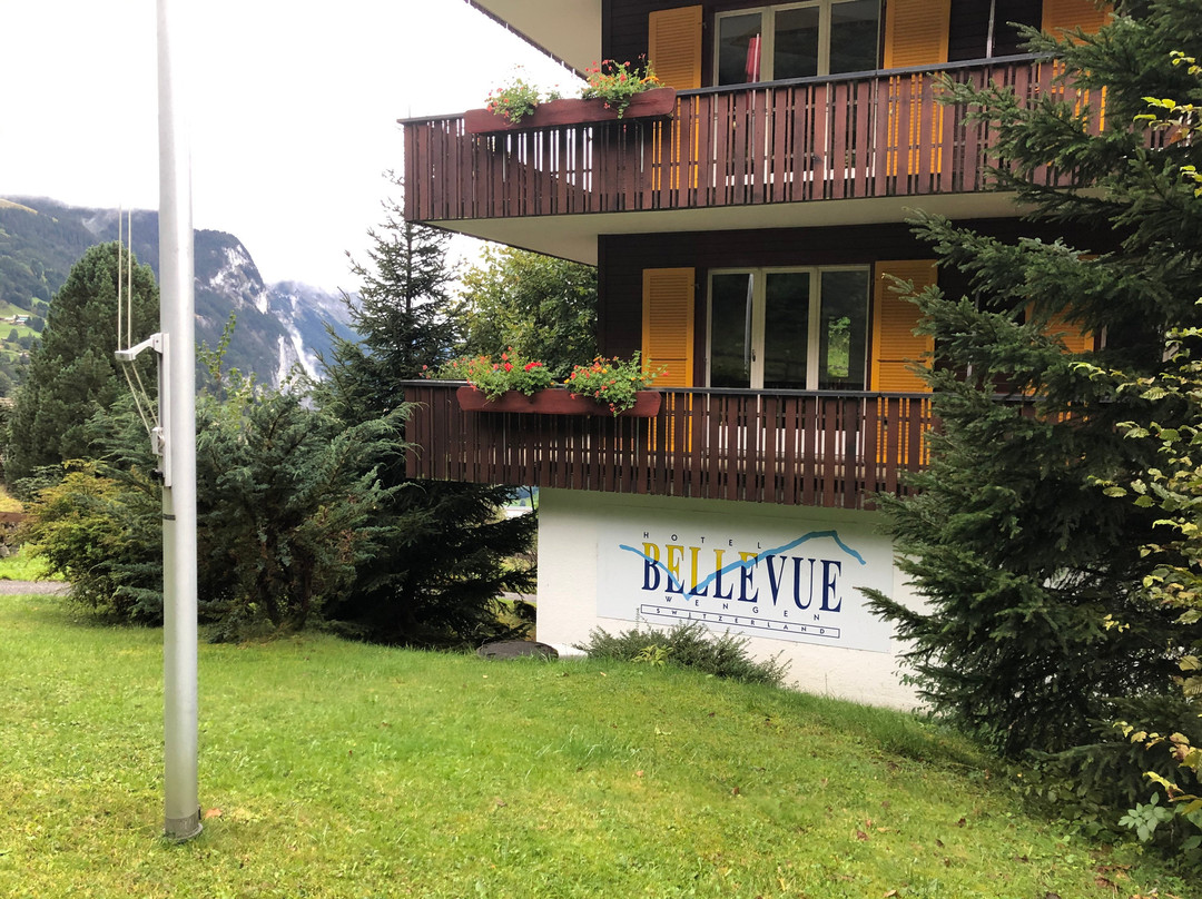 Hotel Bellevue主图