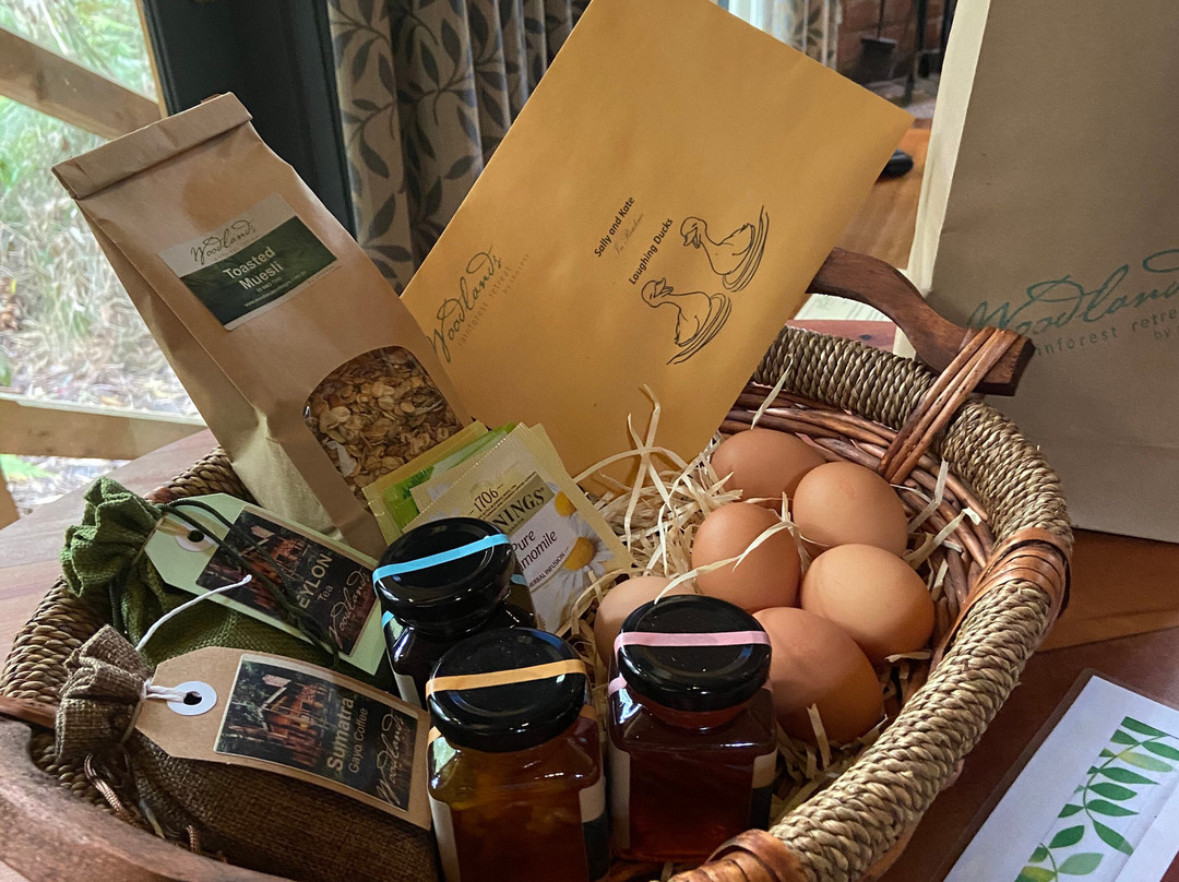 乌兰雨林休闲村主图