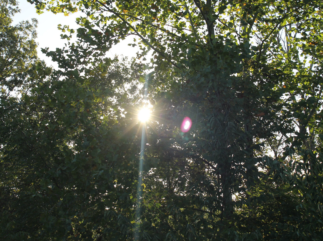 Blue Licks Battlefield State Resort Park主图