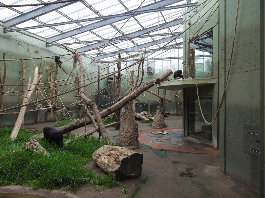 Zoologischer Garten Magdeburg-马格德堡必去景点