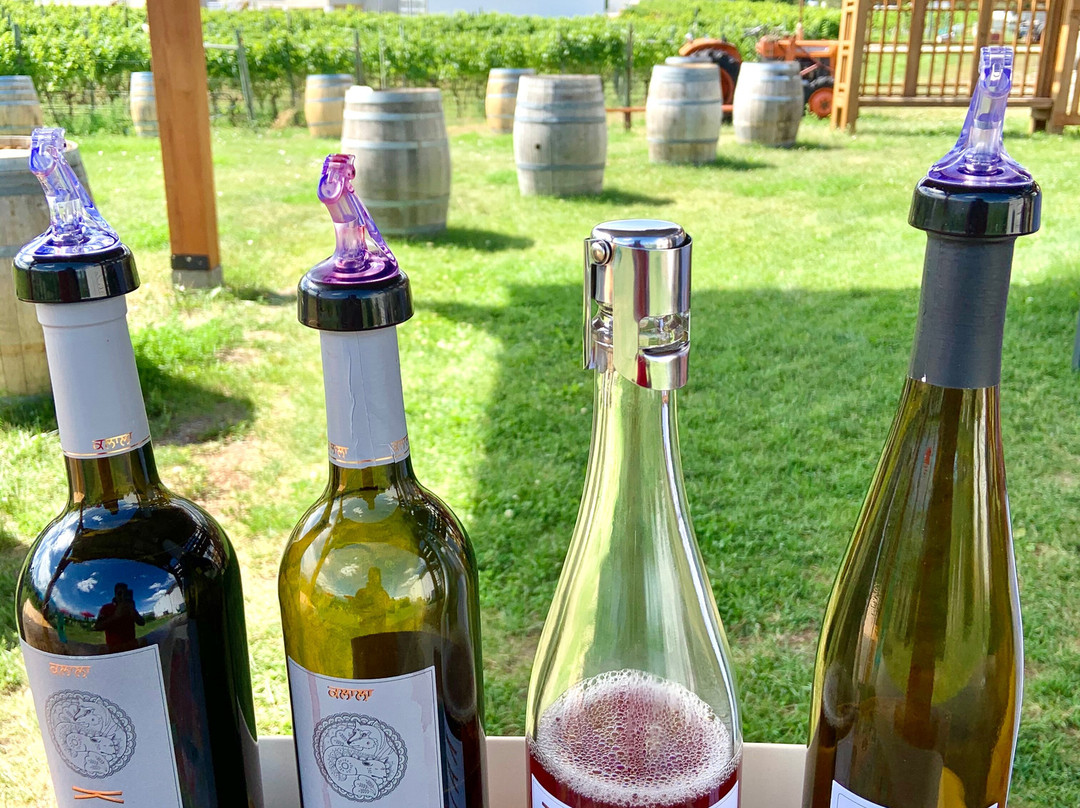 Kalala Organic Estate Winery景点图片