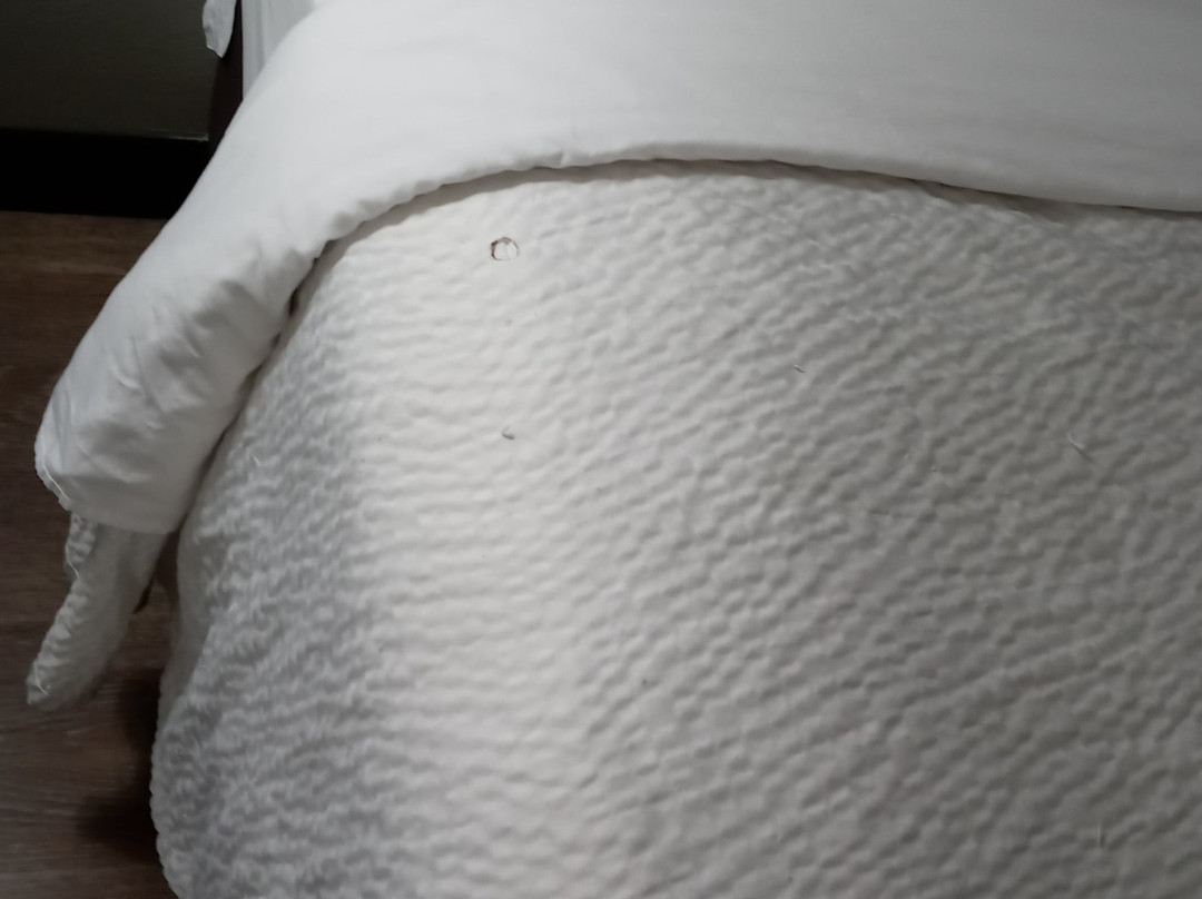 Red Roof Inn Spartanburg - I-26主图