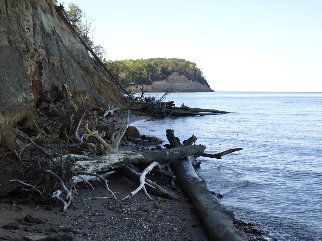 Calvert Cliffs State Park景点图片