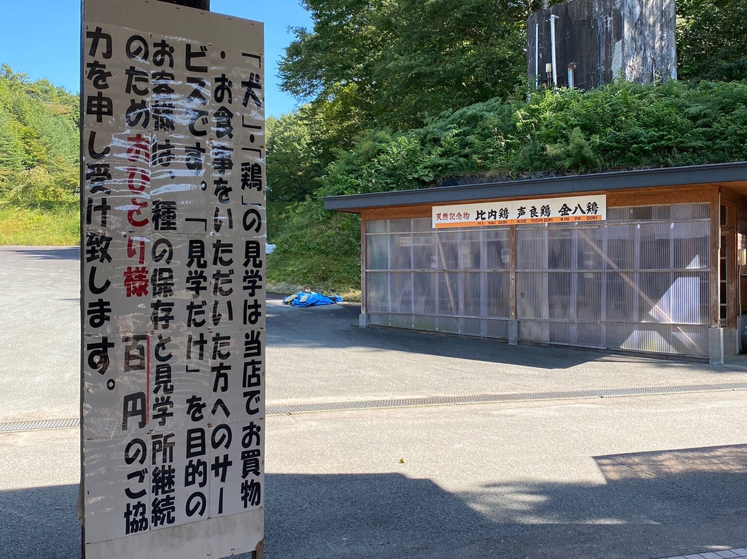 Tazawako Kyoei Palace-仙北市必去景点