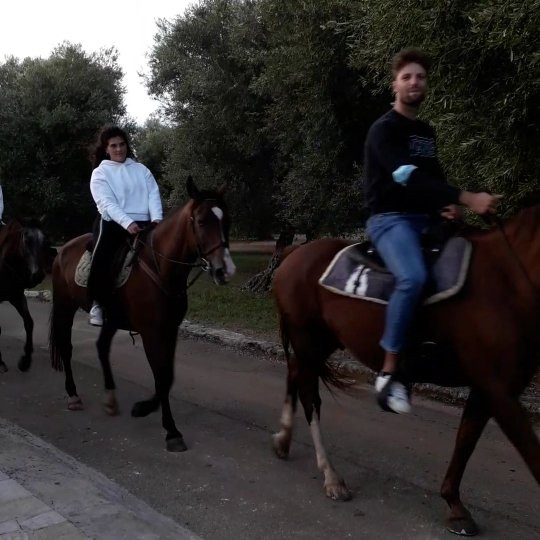 Centro Ippico Parco di Mare ASD-Montalbano必去景点