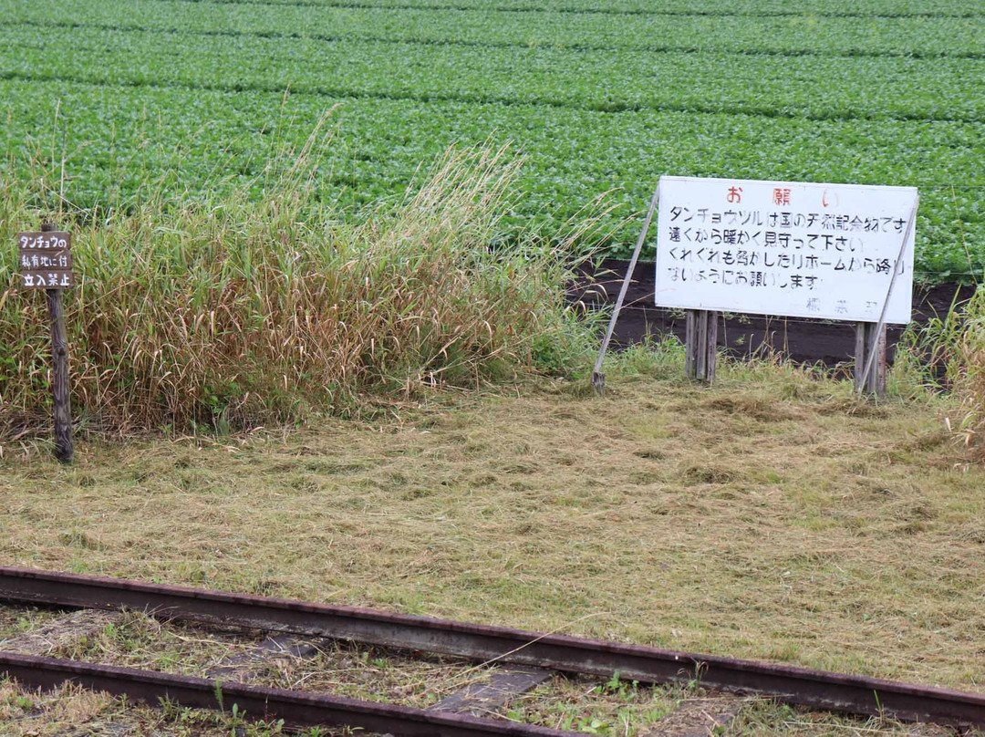 Kayanuma Station-标茶町必去景点