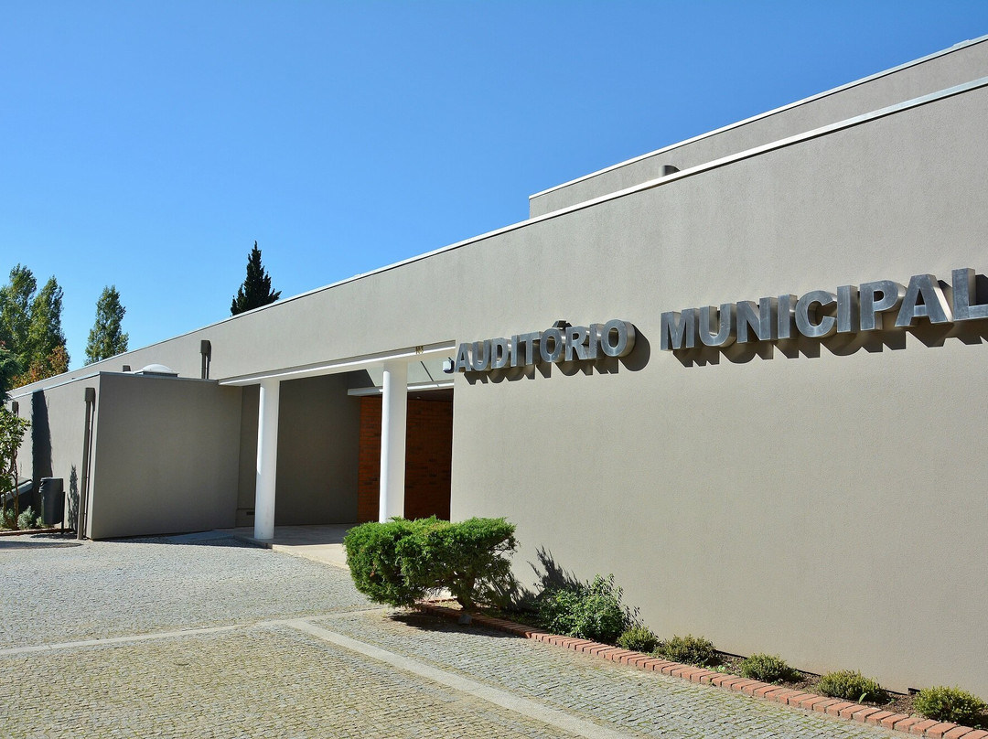 Auditório Municipal De Gondomar景点图片