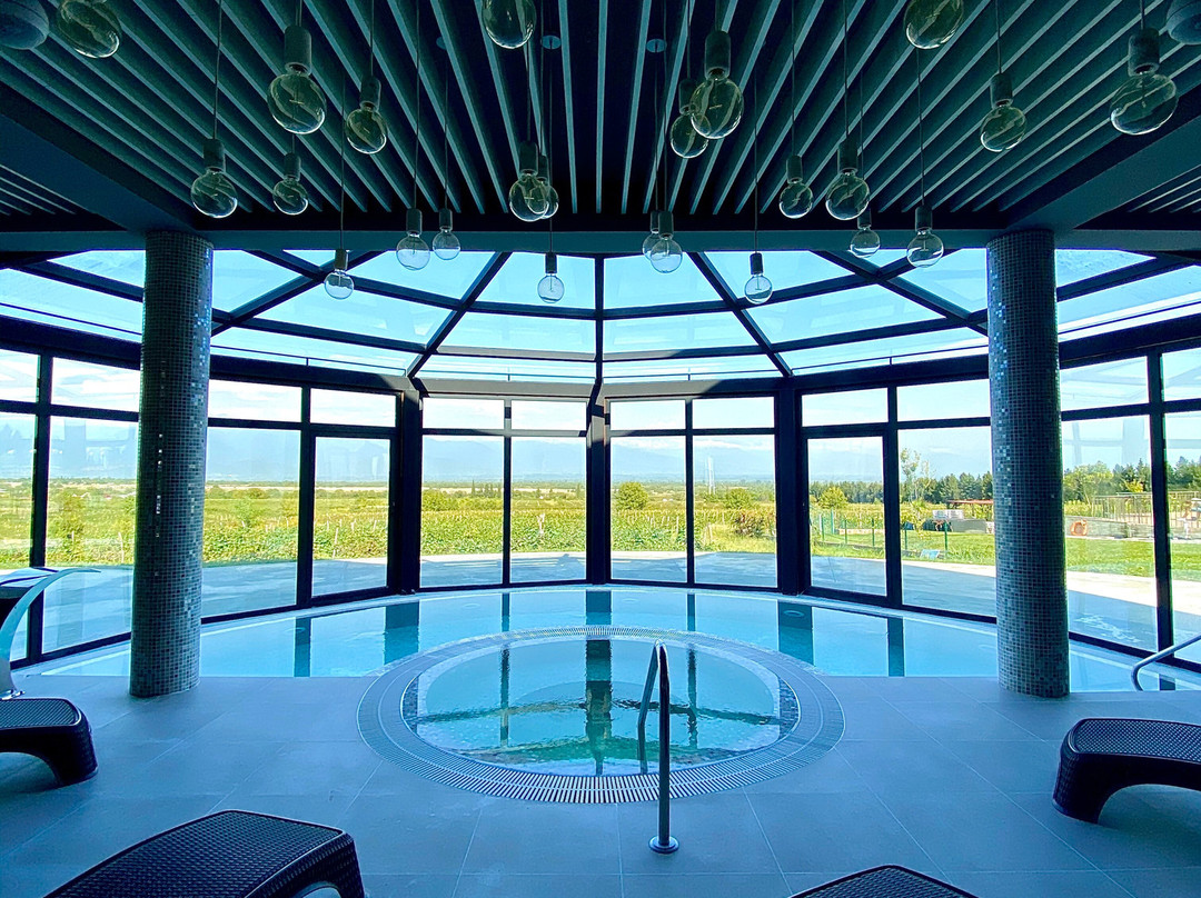 Akhasheni Wine Resort and Spa主图