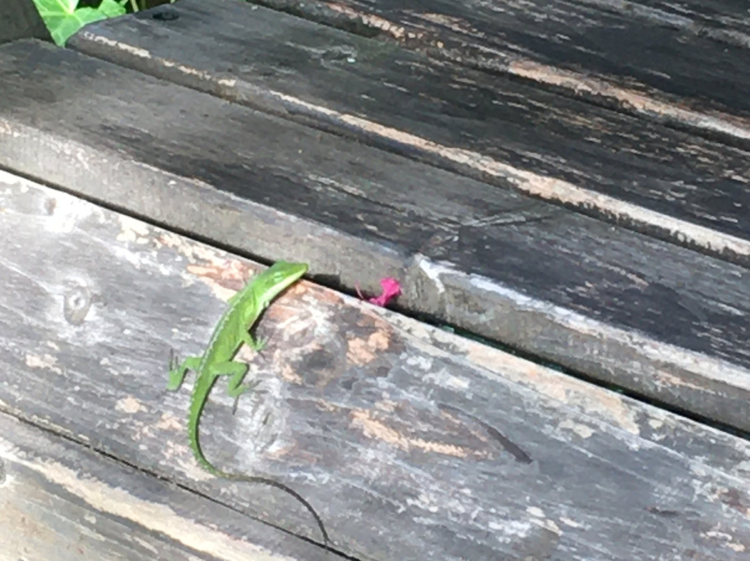 The Esmeralda Inn, Restaurant, & Spa主图