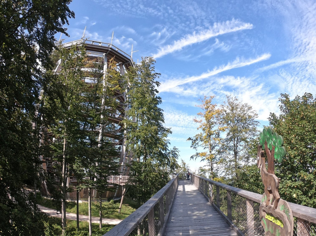 Baumwipfelpfad Salzkammergut-葛姆登必去景点