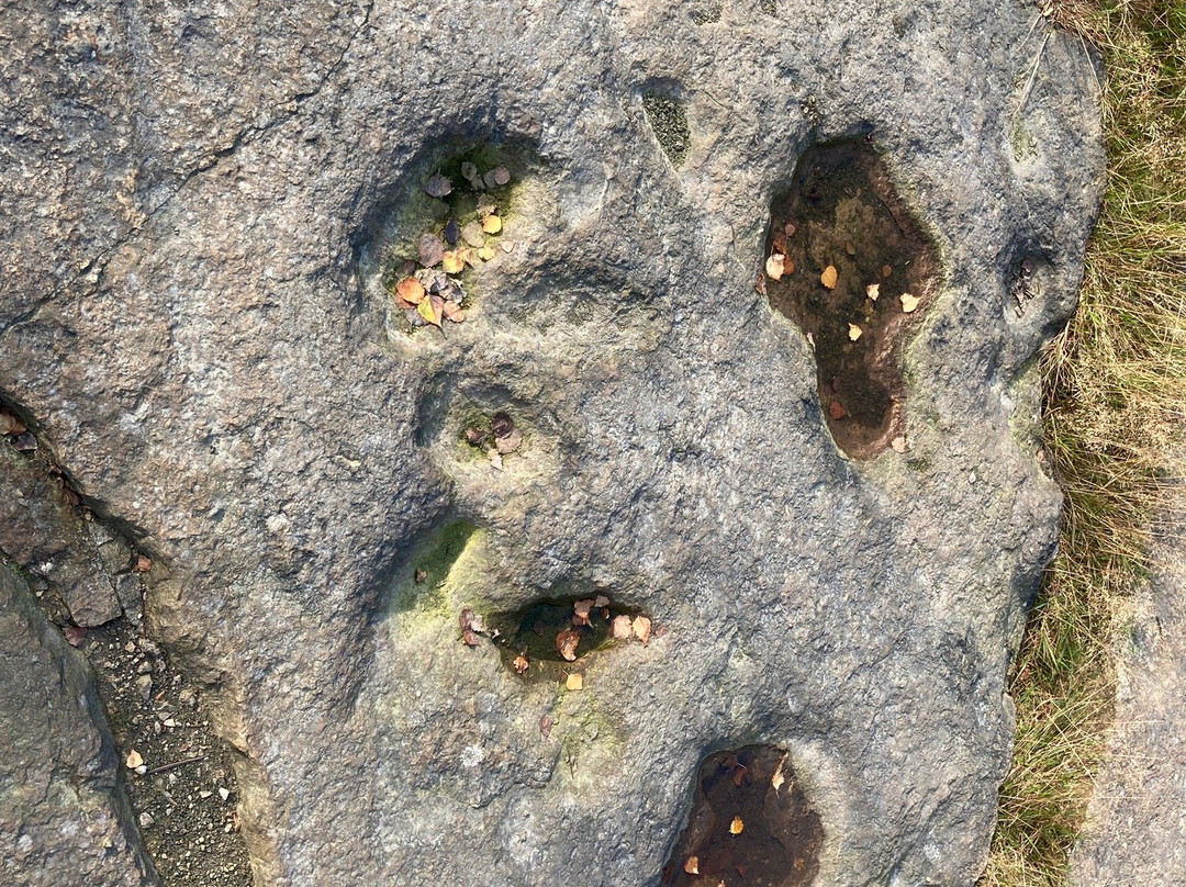 Dinosaur tracks-Obernkirchen必去景点