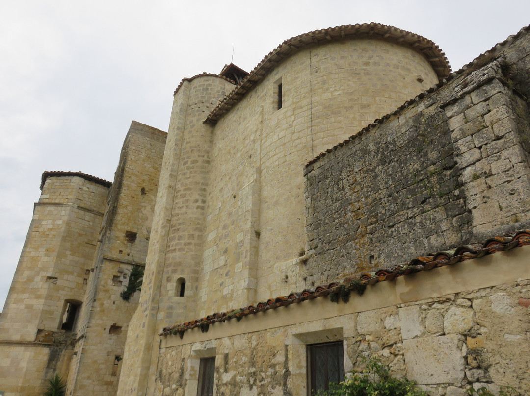 Le Village Fortifie de Larressingle景点图片