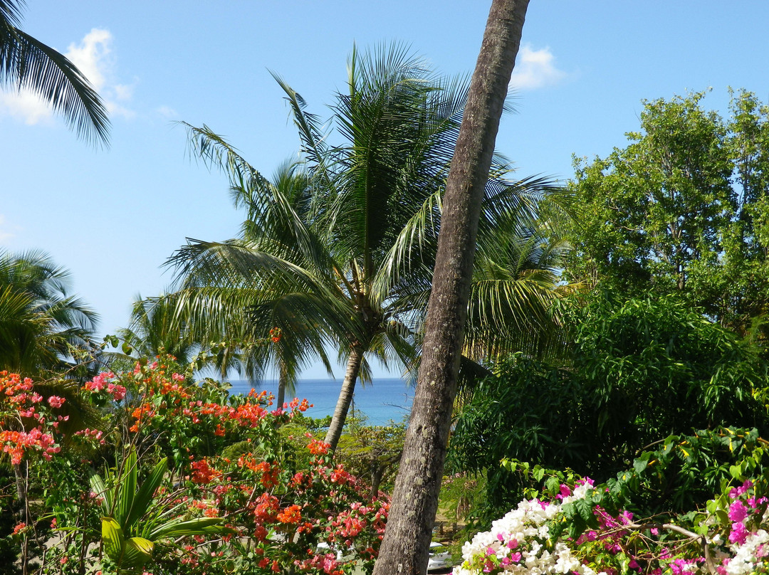 Gites Plage Caraibe