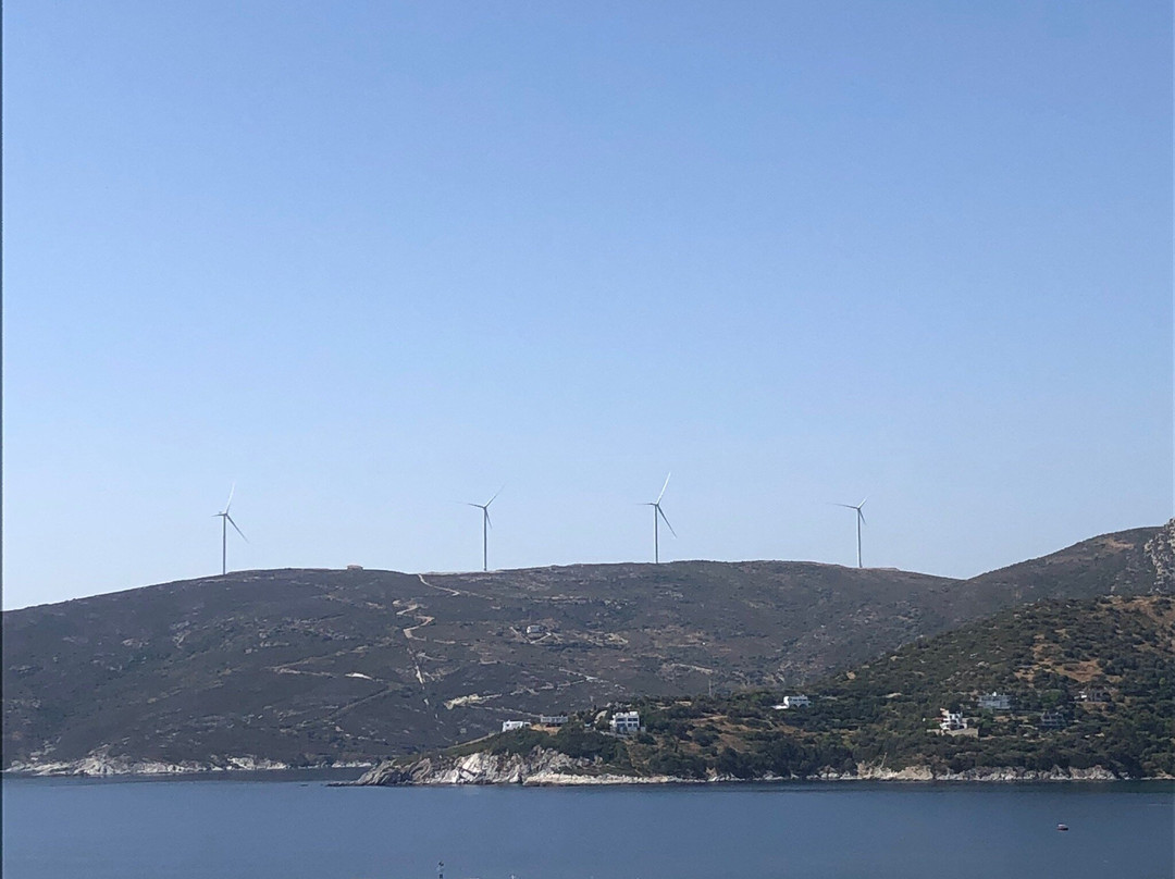 Triantafilia Guesthouse主图