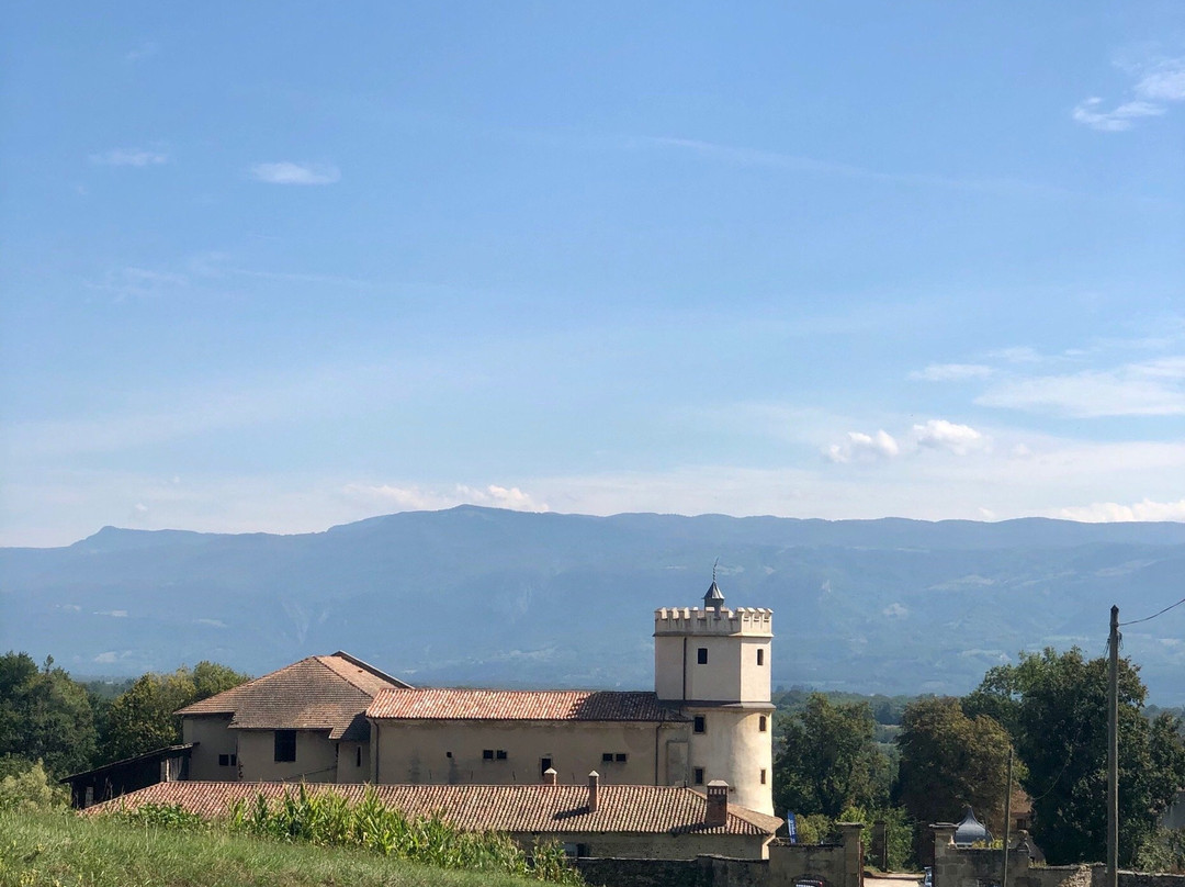 Chateau de l'Arthaudiere-Saint-Bonnet-de-Chavagne必去景点