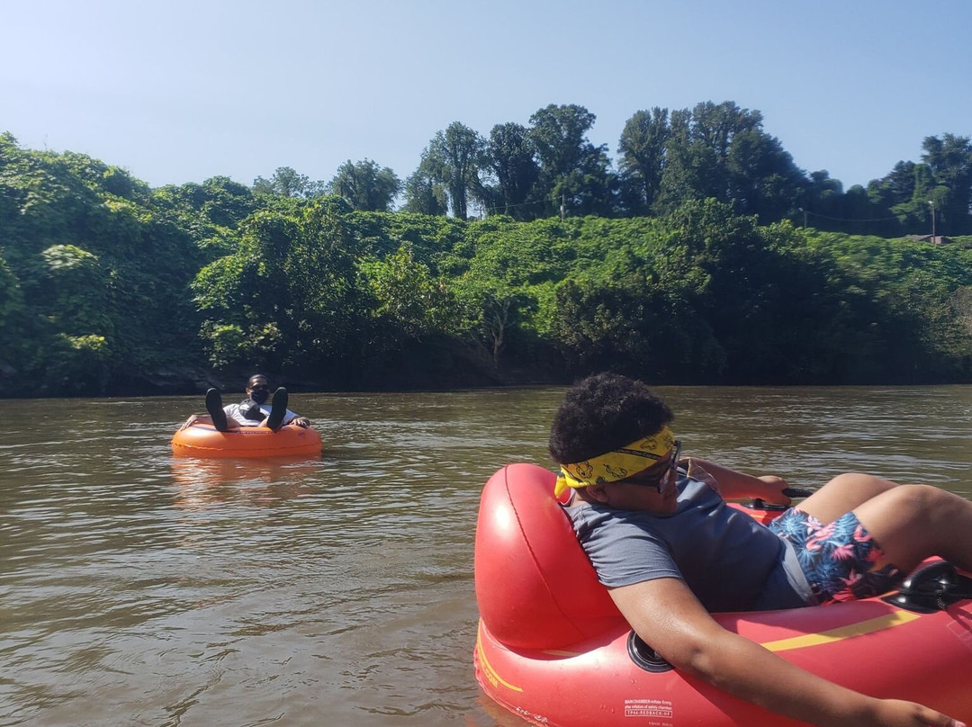 Rocky Forest River Run景点图片