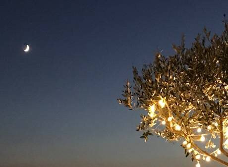 Hotel International主图